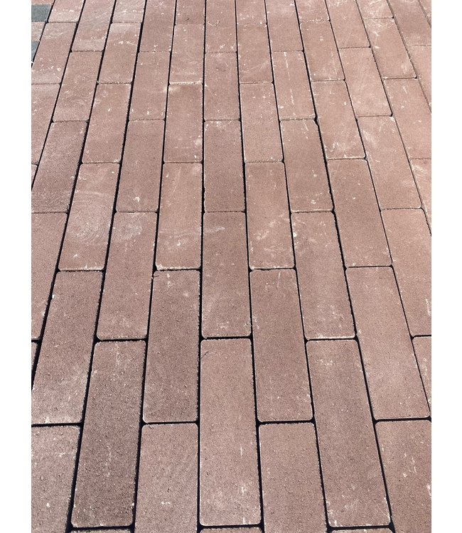 Ligniet Atlas dikformaat kleurecht