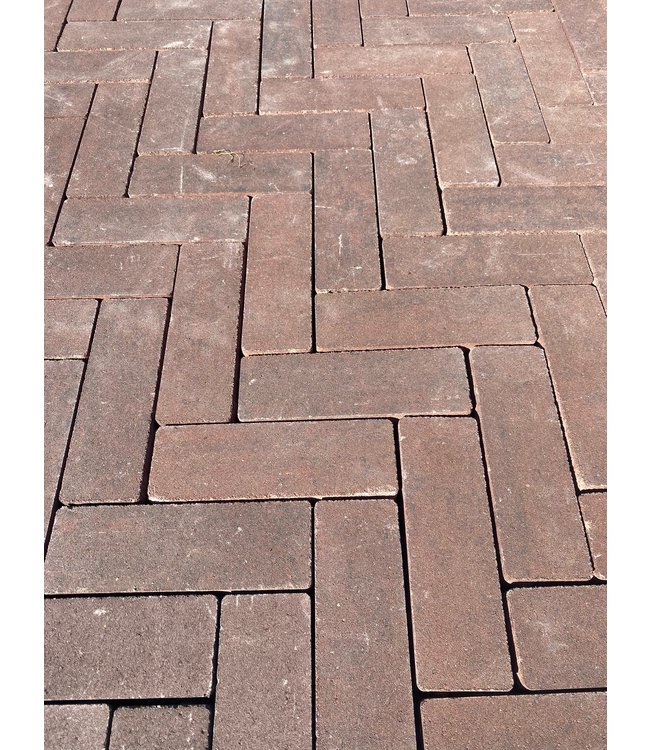 Puerto Ruston dikformaat kleurecht