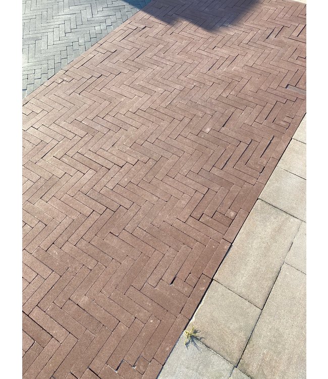 Magenta auxo Waalformaat kleurecht