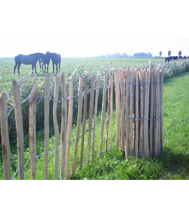 Kastanje hek 122x460cm latafstand 5 cm