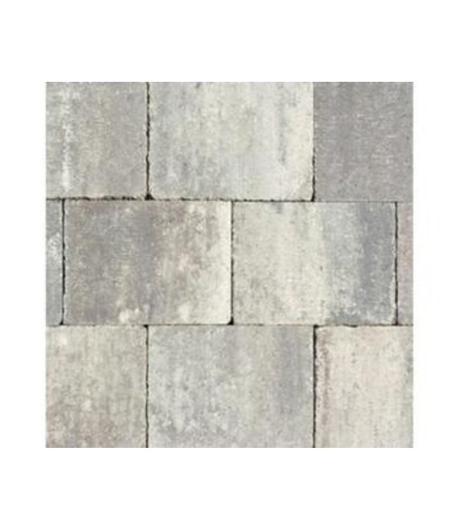 Partij 38m2 Abbeystones Grigio 20x30x6