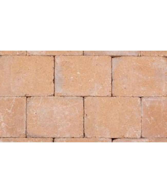 Partij 14m2 Room Getrommeld 21x28x7