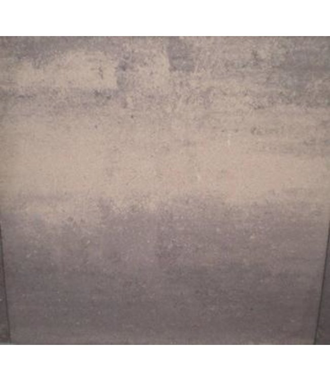 Partij 40m2 Rijnland Krimpener Mist 60x60x4.7