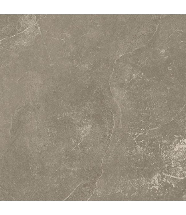 Geoceramica 100x100x4 cm Marmony Taupe