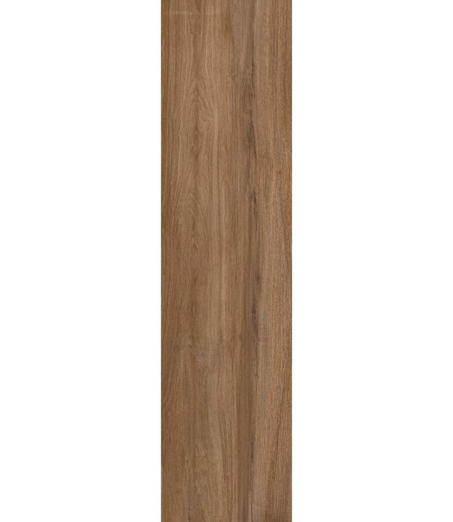 Geoceramica 120x30x4 cm Mywood Cicieglio