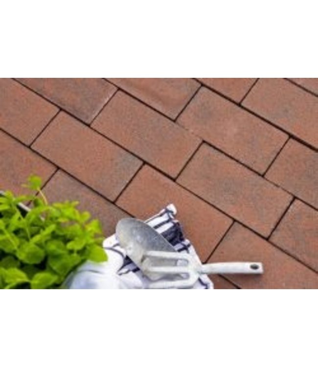 GeoCotto Capo dikformaat