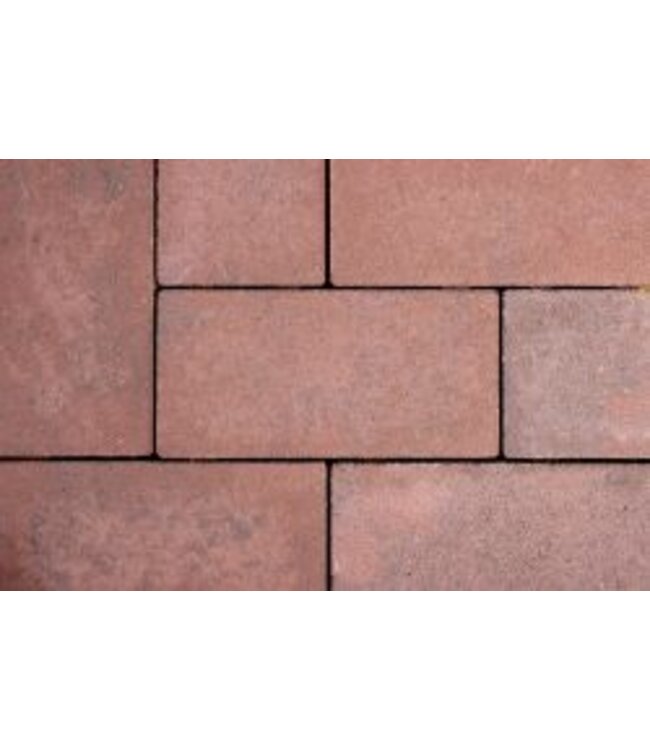 GeoCotto Capo dikformaat