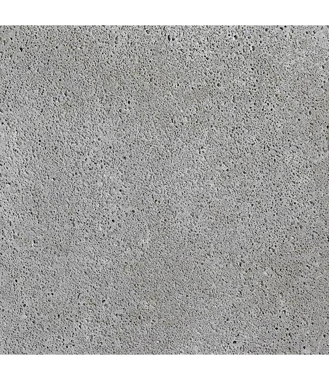 Schellevis Oud Hollandse Tegel 100x100x10 Grijs