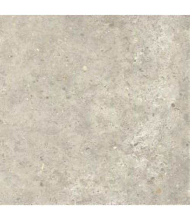Geoceramica  Brainport Shell 60x60x4