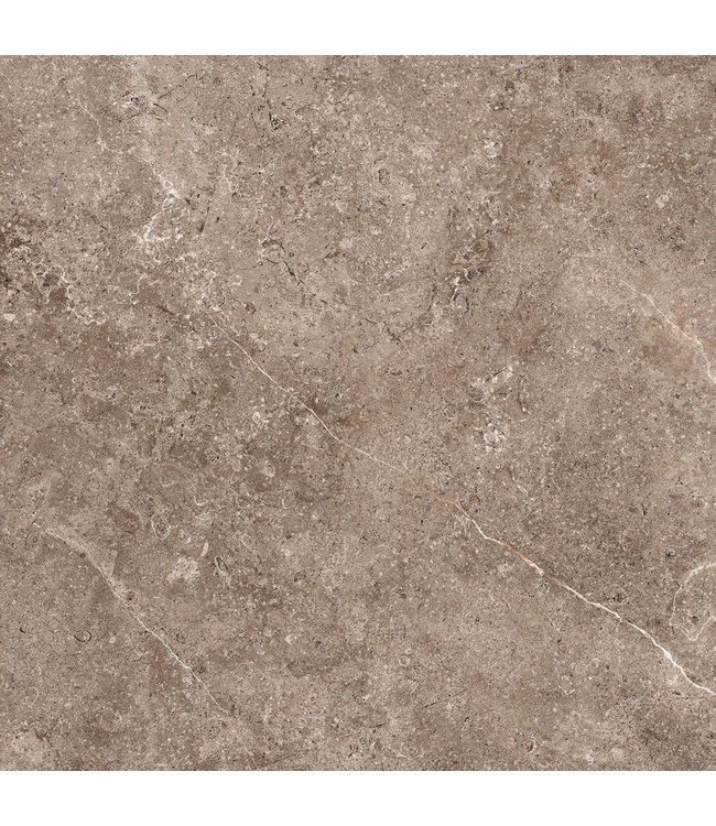 Geoceramica 100x100x4 cm Landstone Earth