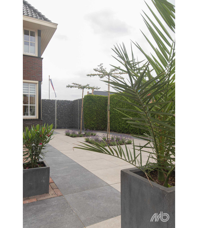 Ceramaxx Frescato Carbone 60x60x2cm