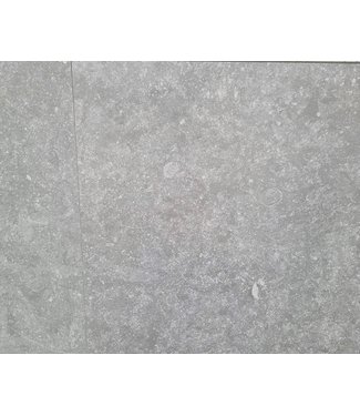 Pietra Belgio Grigio Chiaro 60x60x2cm