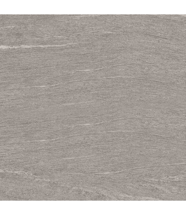 Oprey Crest Silver 100x50x2cm