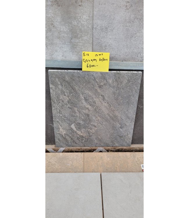 Partij 13m2 Gaja Grey 60x60x3cm E12
