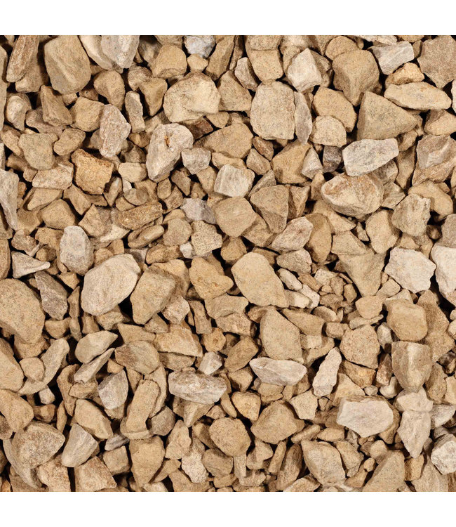 Yorkshire Brokjes 6-9 cm MO