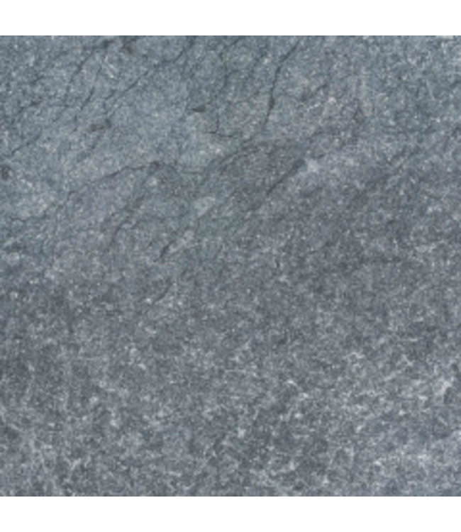 Vietnamees Hardsteen Anticato 60x60x3 cm MO