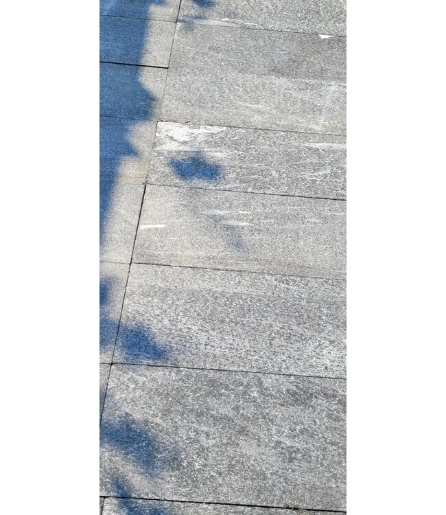 Vijverrand Kwartsiet 30x80x3cm