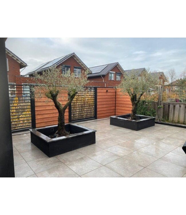 Keramische tegel Kl Lavis 60x60x3cm