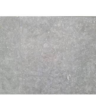 Pietra Belgio Grigio Chiaro 60x60x3