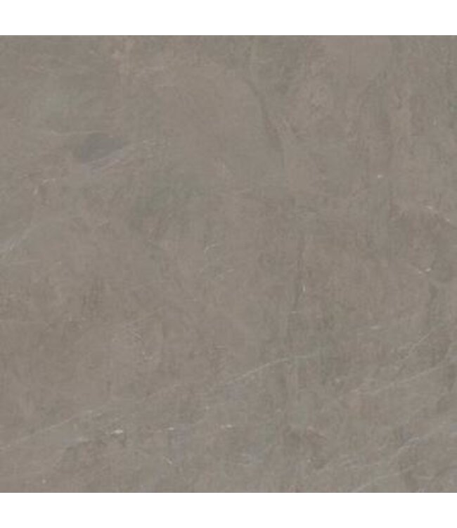 Unico Caliza Gris Pardo 120x60x3cm keramische tegel