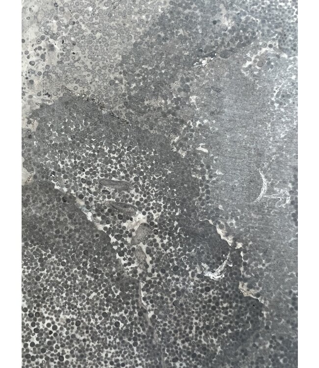 Balk Chinees 5 x 15 x 100