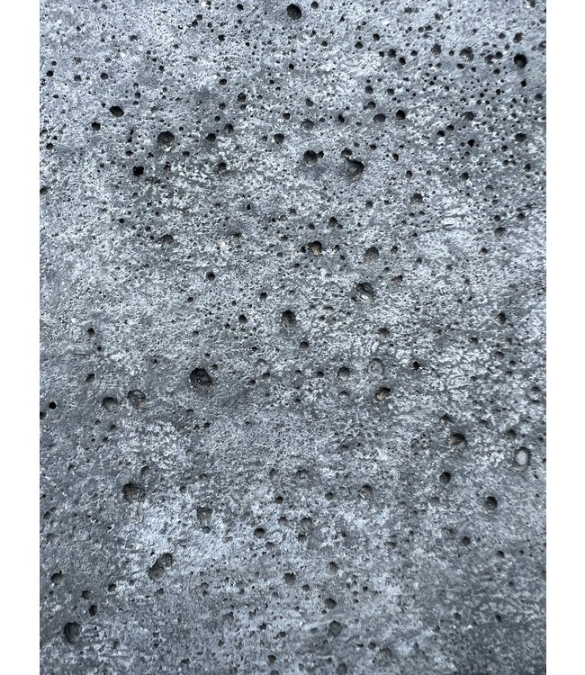 Schellevis Antraciet 120 x 60 x 7