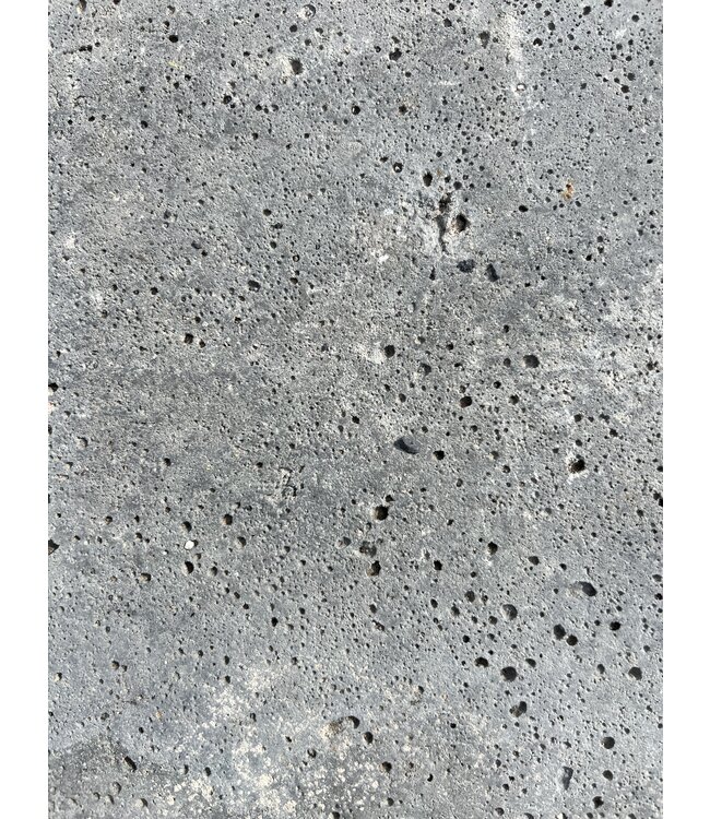 Schellevis traptreden grijs 100 x 40 x 2