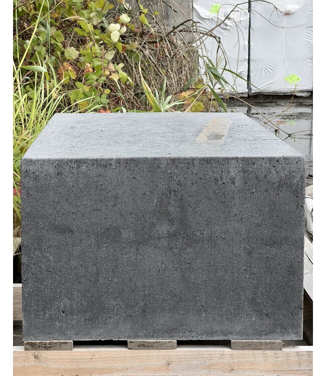 Schellevis blok antraciet 100 x 60 x 40