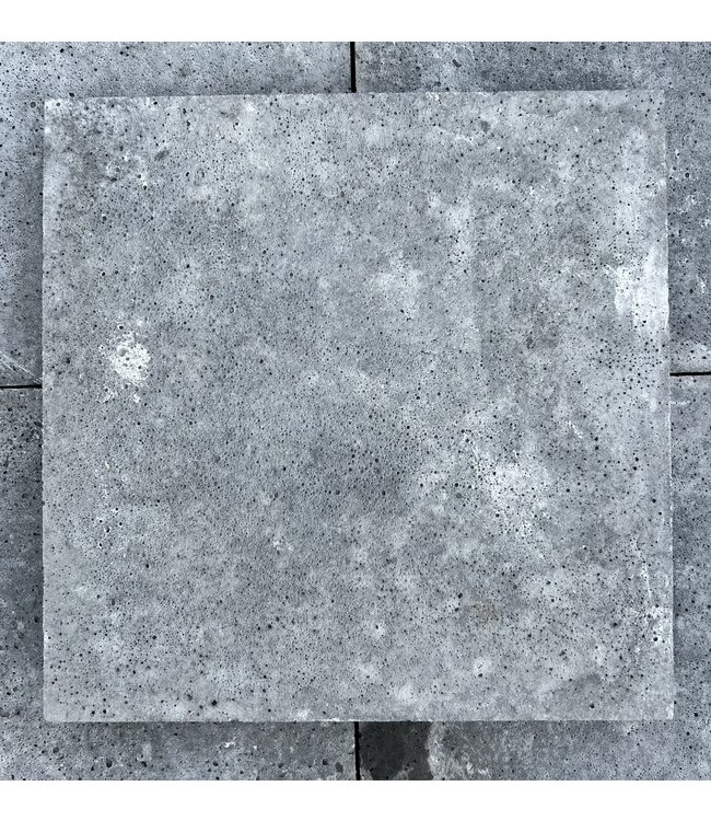 Partij 4 m² Schellevis  antraciet tegel 40 x 40 x 5