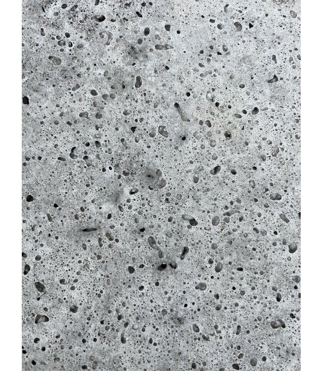 Partij 7 stuks schellevis grijs 80 x 80 x 10