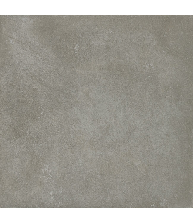 Danzig Taupe 60x60x2