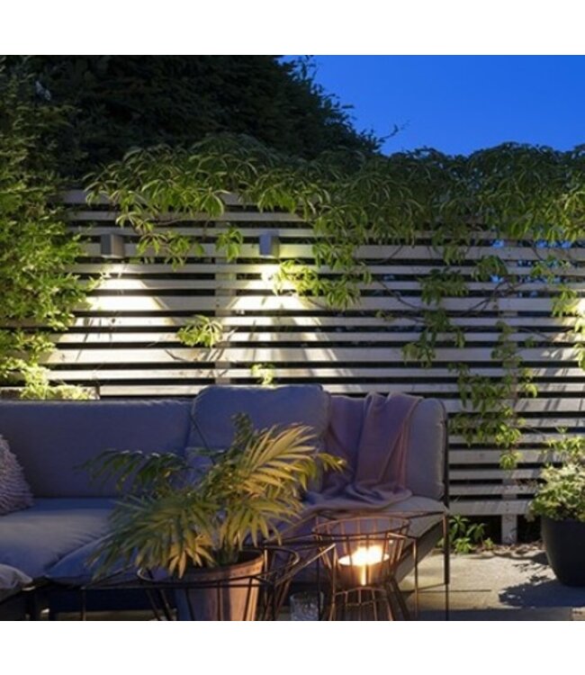 ACE DOWN ROSE SILVER