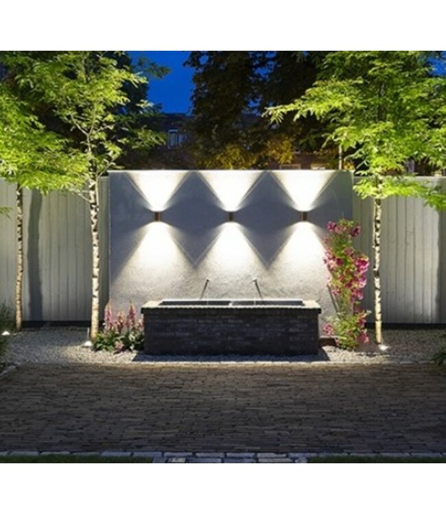 ACE UP-DOWN ROSE SILVER