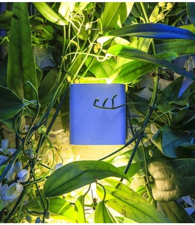 ACE UP-DOWN WHITE 100-230V