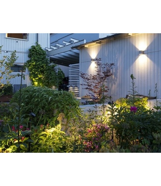 ACE UP-DOWN DARK 100-230V