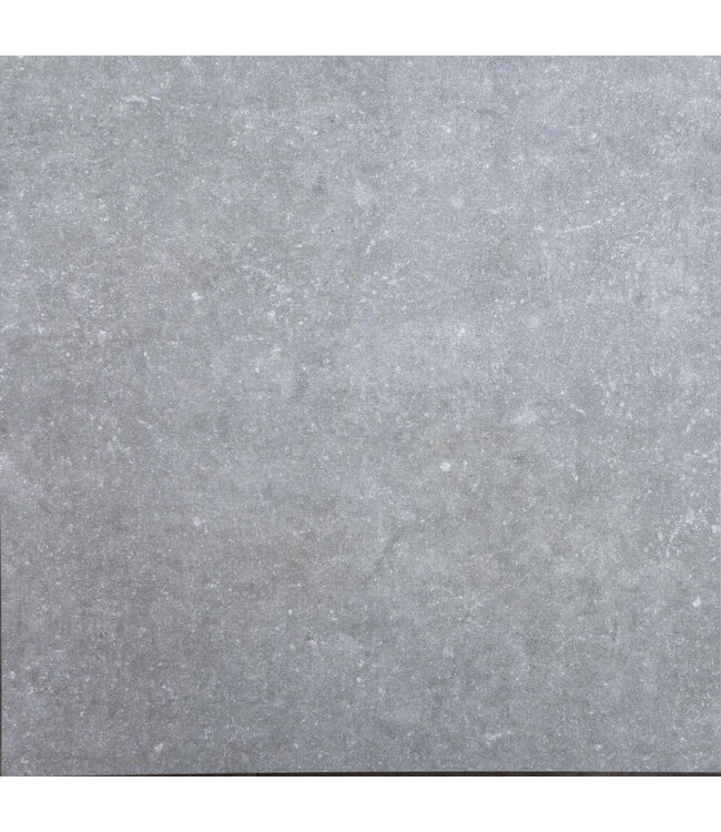 Newport Grigio 40x80x3cm
