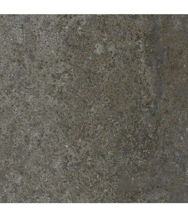 Atlanta Antracite 40x80x2cm