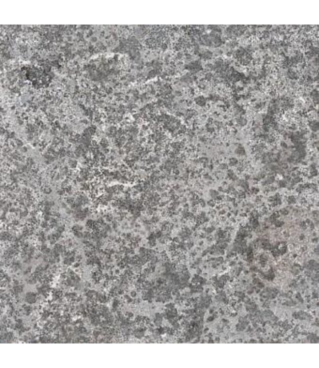 Spotted Bluestone Riven