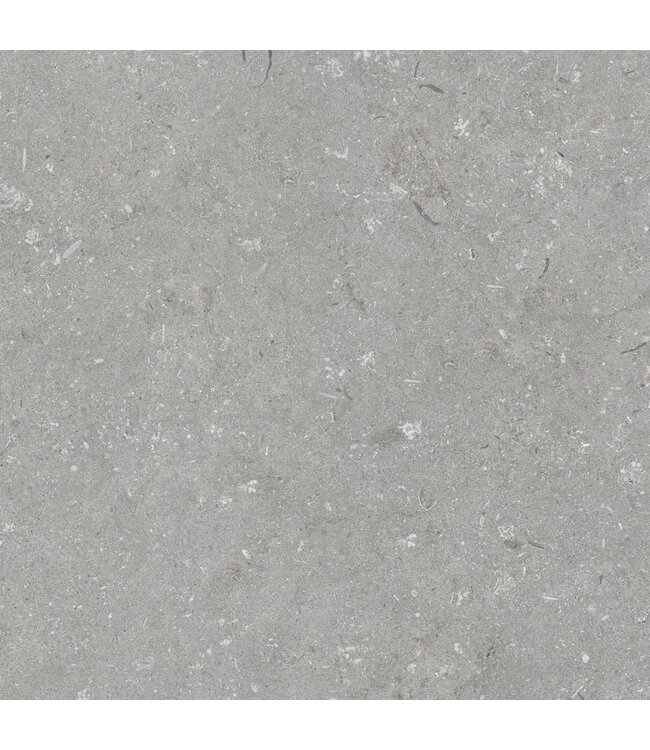 Robusto Ceramica Shellstone Grigio 60x60x3cm