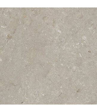 Robusto Ceramica Shellstone Taupe