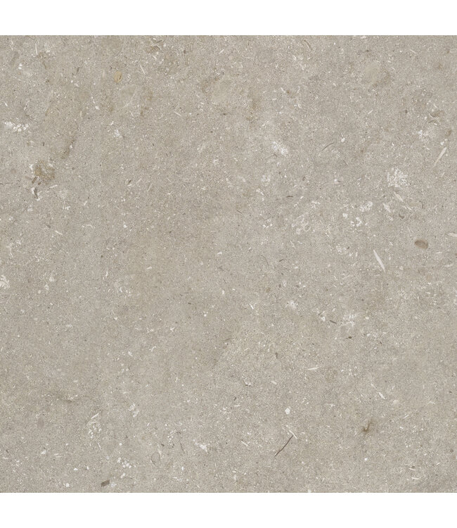 Robusto Ceramica Shellstone Taupe 60x60x3cm