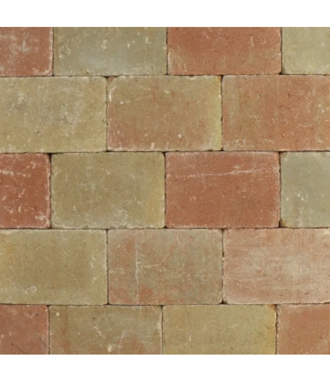 Metro Vlaksteen 30x20x6cm Terrageel