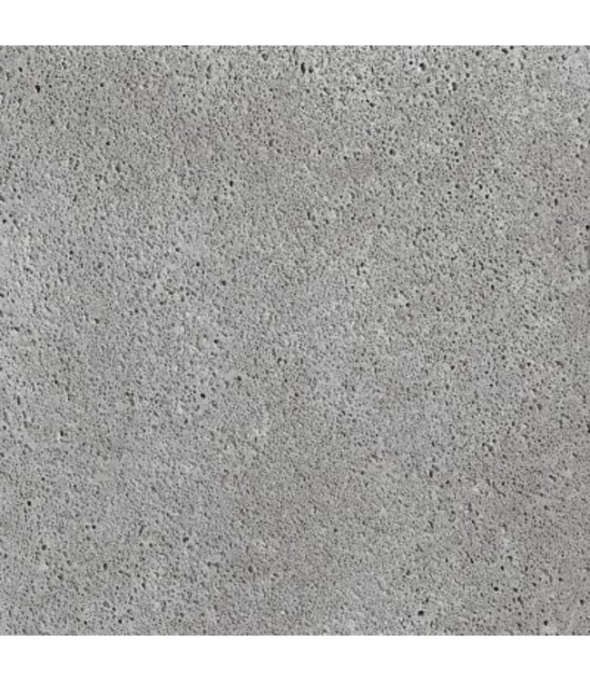 Schellevis Oud Hollandse Tegel 100x100x12 Grijs