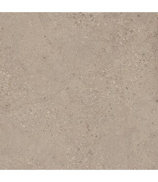 Konkrete Grigio