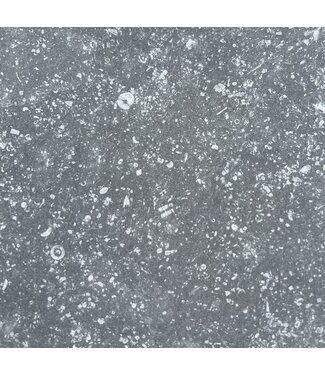11M² Blue de Soignies Gris