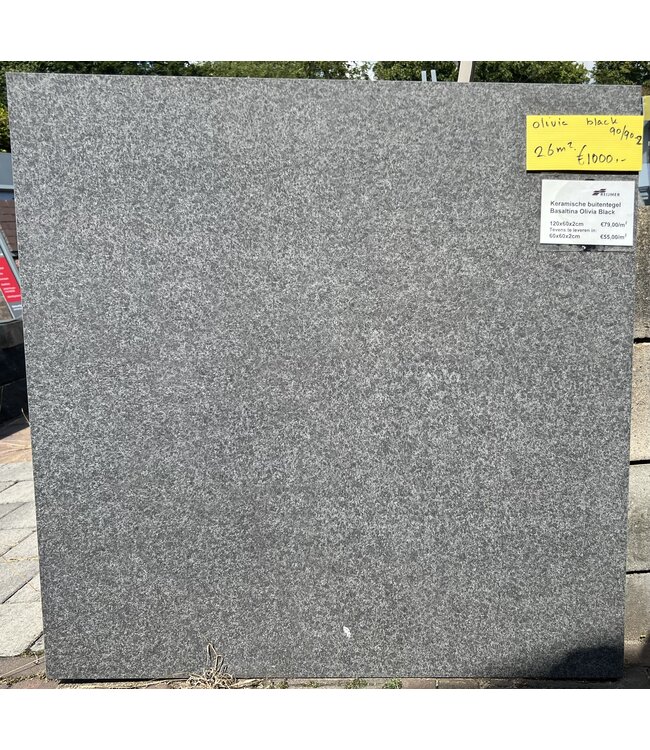 26 m²  Keramische buitentegel Basaltina Olivia Black 90x90x2 cm