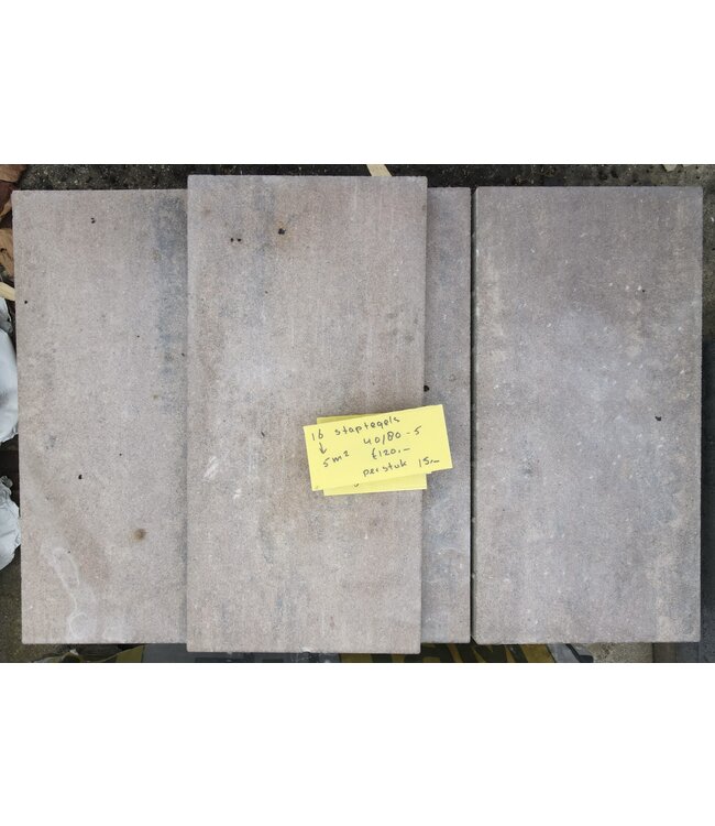 Partij 5 m² Staptegels 40x80x5 cm