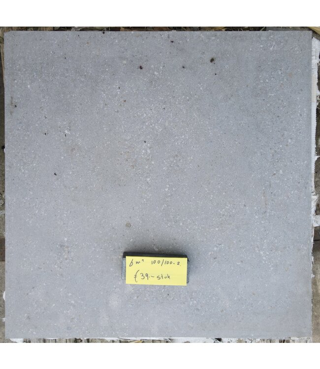 Partij 6 m² Grijze Tegel 100x100x2 cm