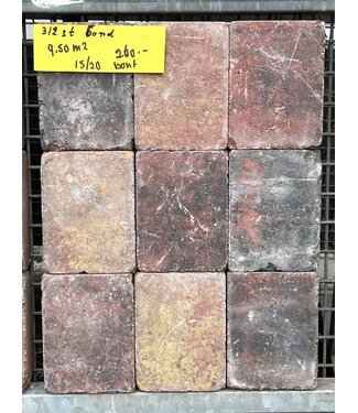 Betonsteen Bont 15x20 cm