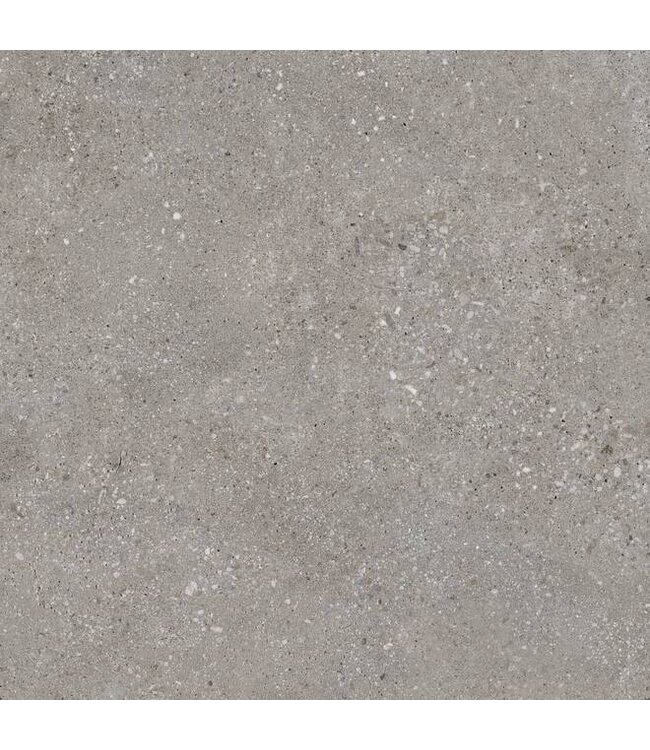 Mystic Grey 60x60x3 cm